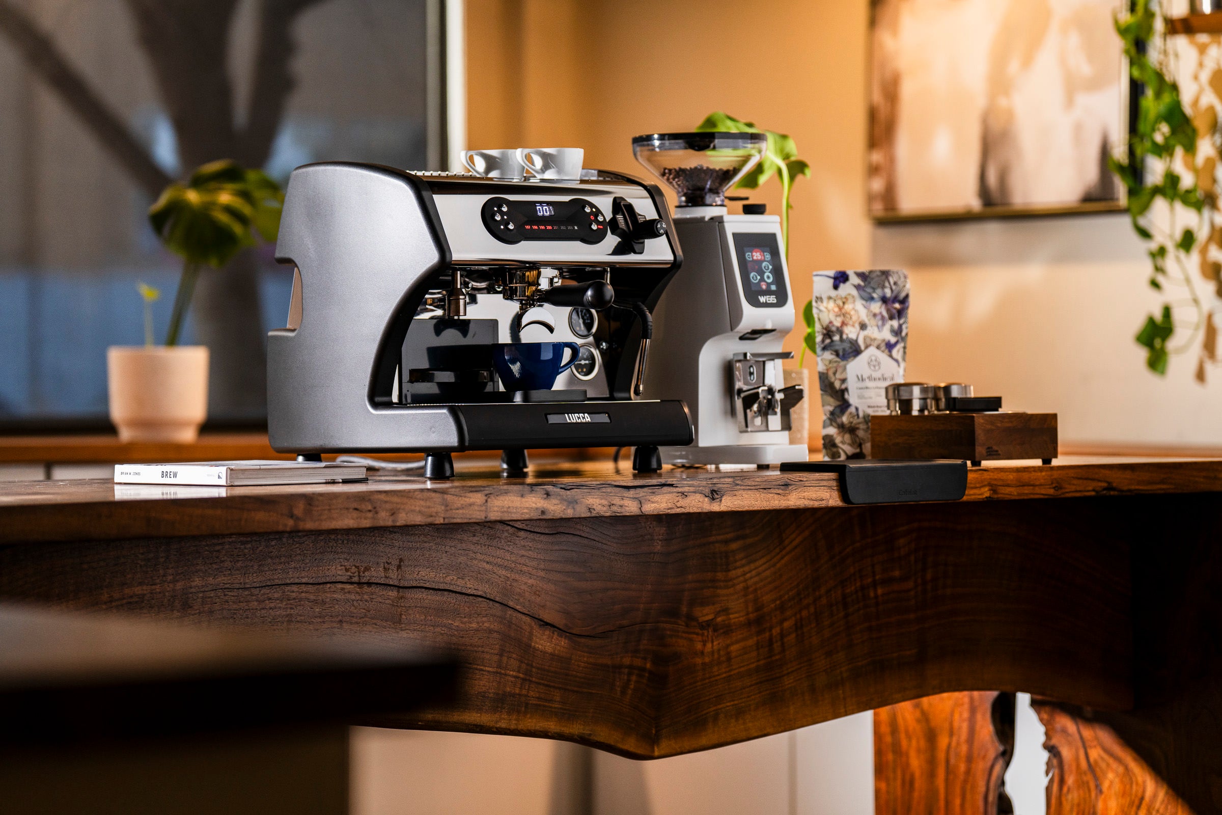 Lucca A53 Pro