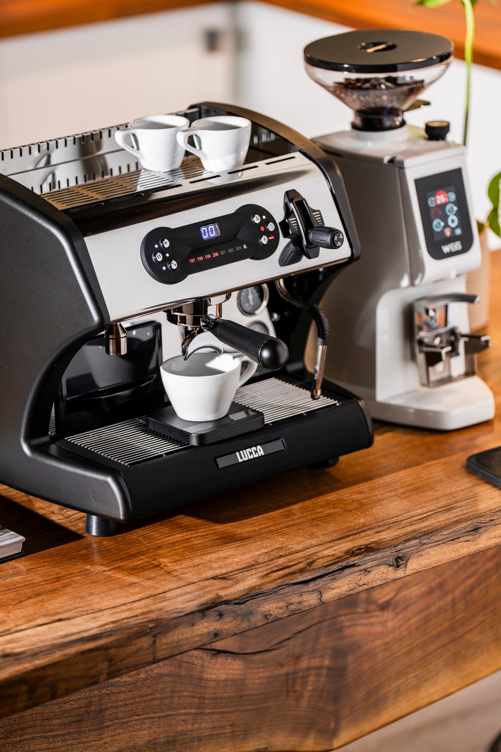 Lucca A53 Pro